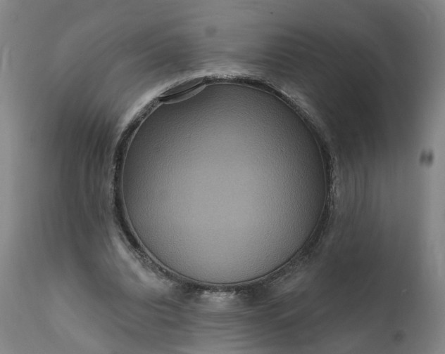 X0000111640440200907311256