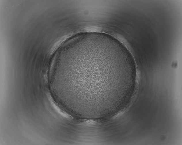 X0000111640441200907311256