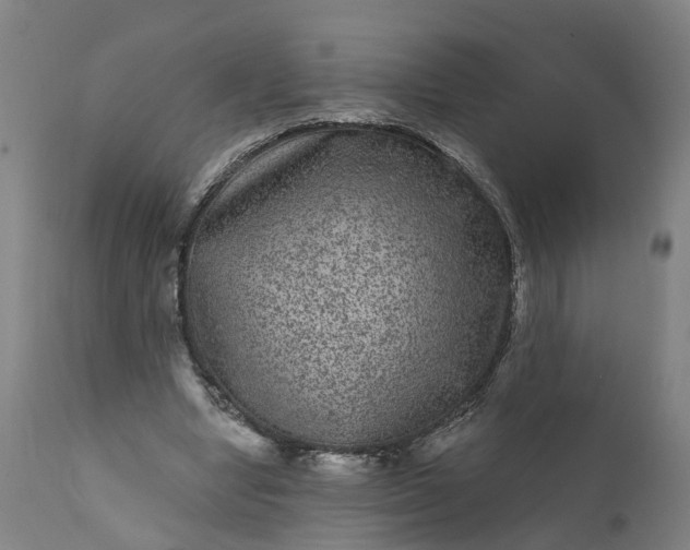 X0000111640442200907311256