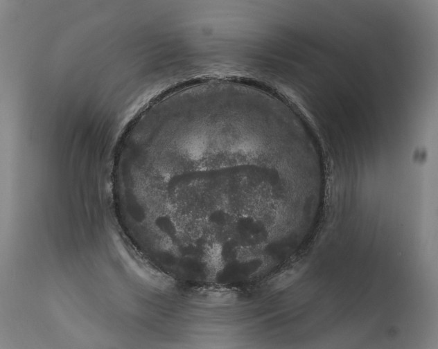 X0000111640443200907311256