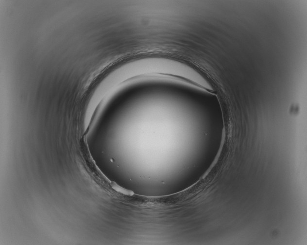 X0000111640444200907311256