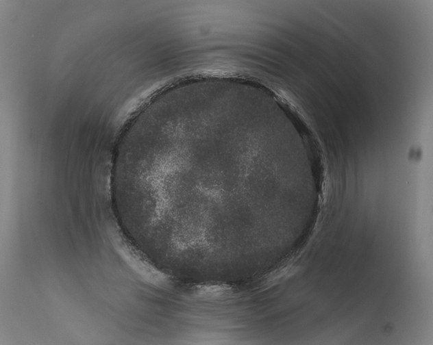 X0000111640446200907311256