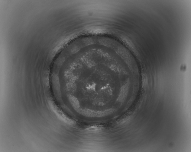 X0000111640447200907311256