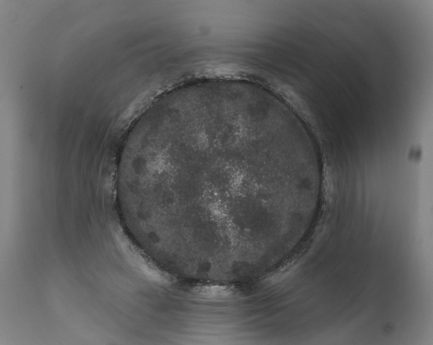 X0000111640449200907311256