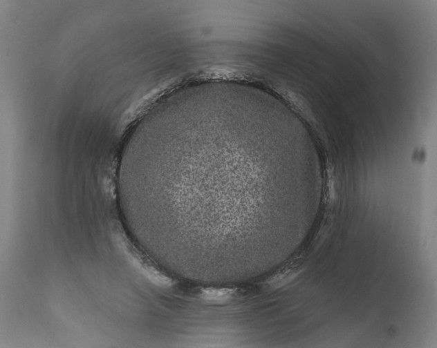 X0000111640450200907311256