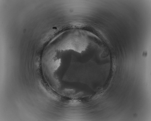 X0000111640451200907311256