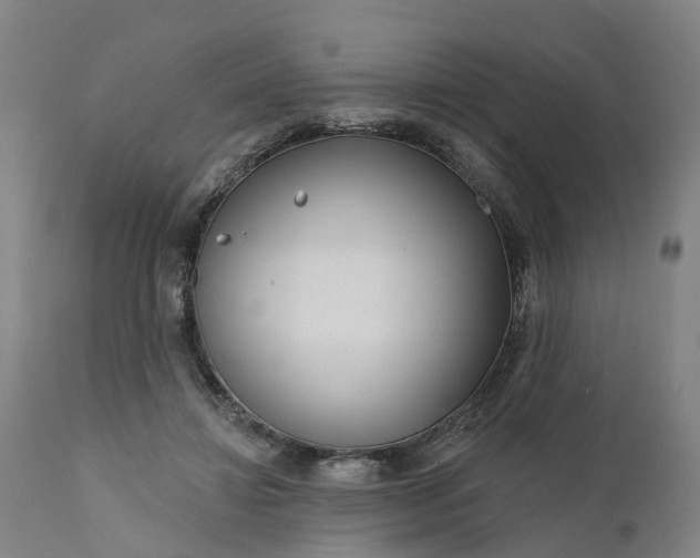 X0000111640452200907311256