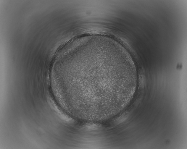 X0000111640453200907311256