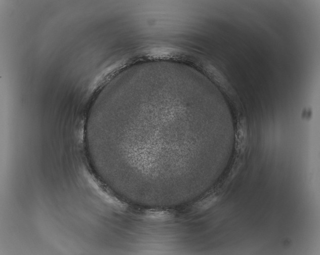 X0000111640454200907311256