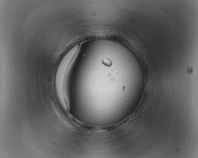 X0000111640456200907311256