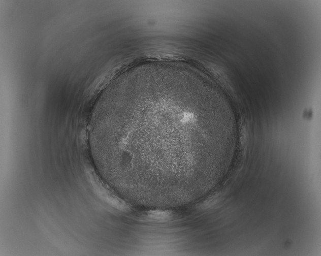 X0000111640457200907311256