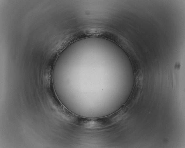 X0000111640460200907311256