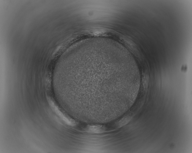 X0000111640461200907311256