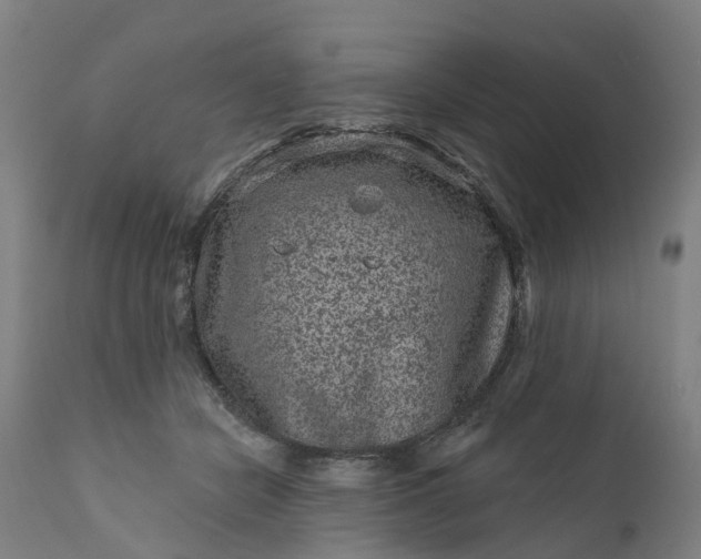 X0000111640462200907311256