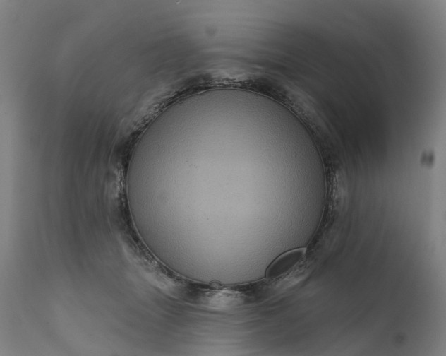 X0000111640463200907311256