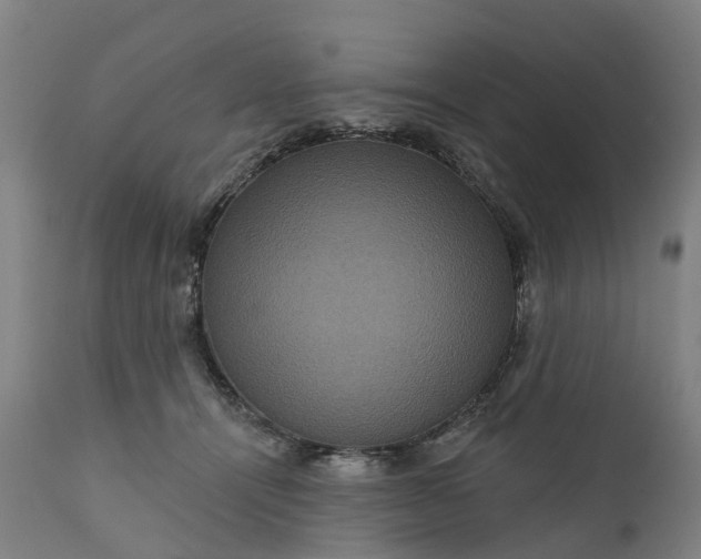 X0000111640464200907311256