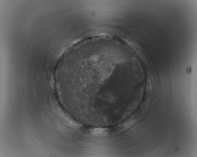 X0000111640465200907311256