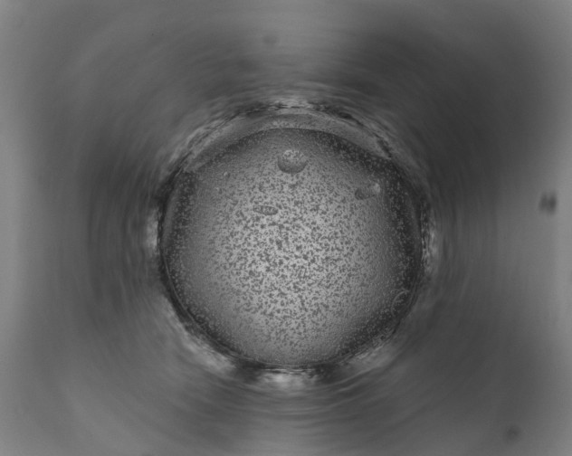 X0000111640466200907311256