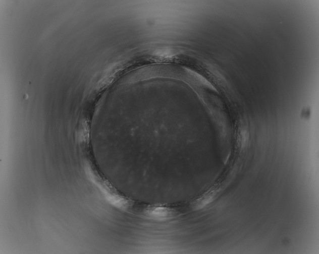 X0000111640467200907311256