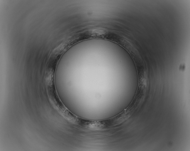 X0000111640468200907311256