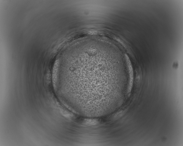 X0000111640469200907311256