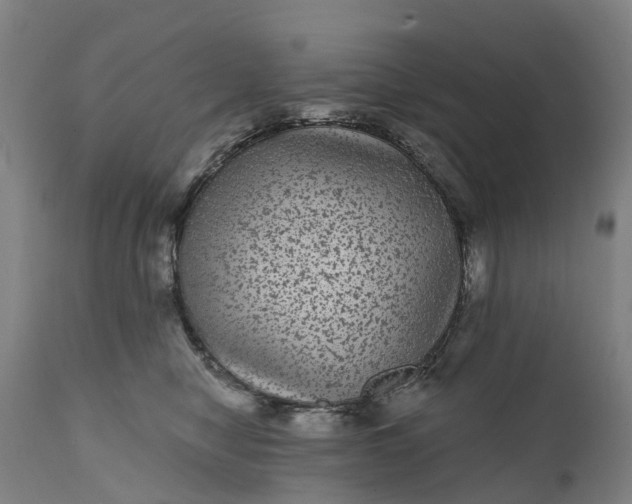 X0000111640470200907311256