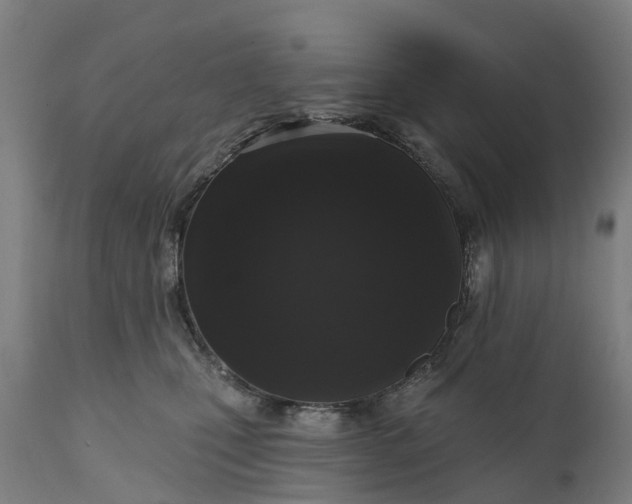 X0000111640471200907311256