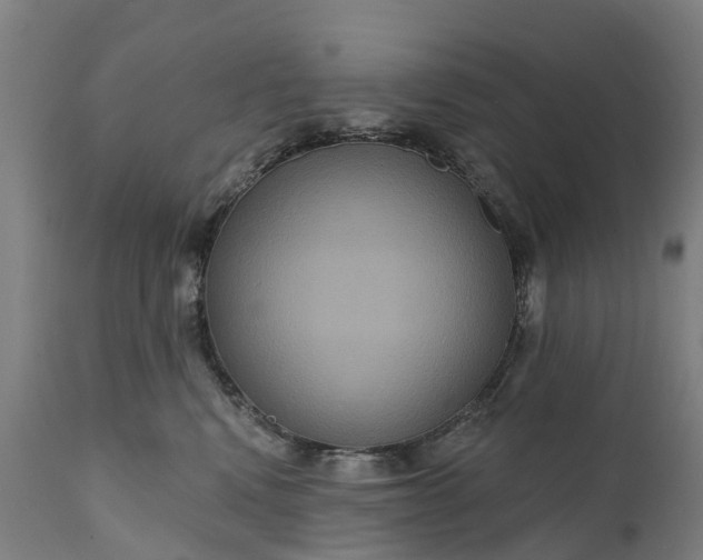 X0000111640472200907311256