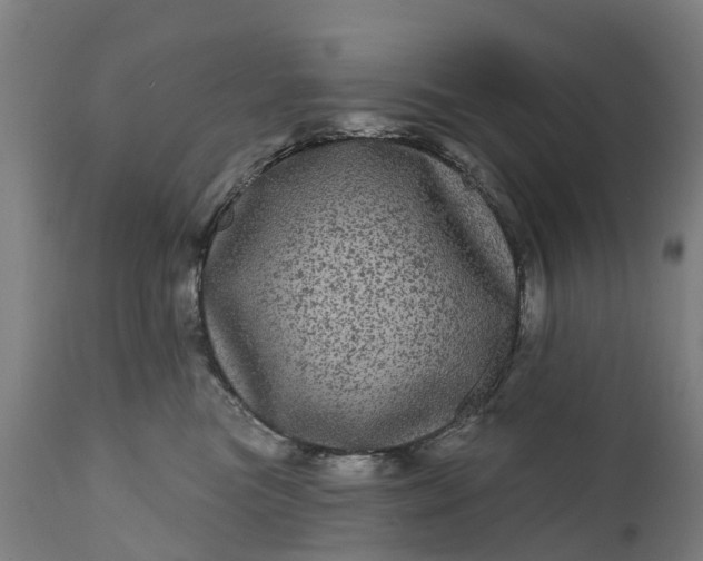 X0000111640473200907311256