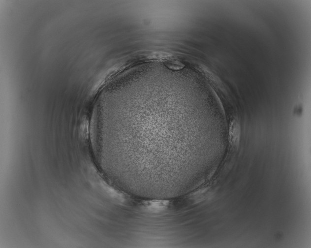 X0000111640474200907311256