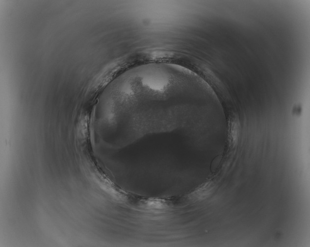 X0000111640475200907311256