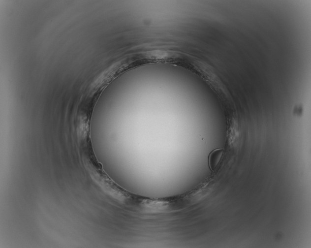 X0000111640476200907311256