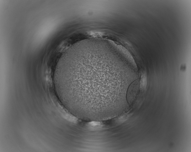 X0000111640477200907311256