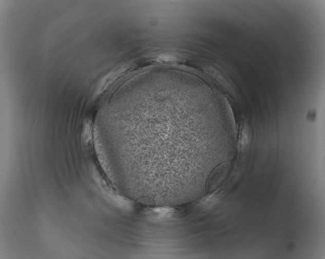 X0000111640478200907311256