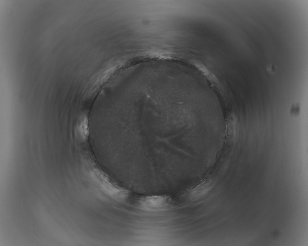 X0000111640479200907311256