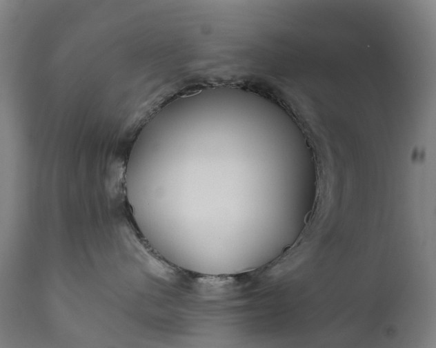 X0000111640480200907311256