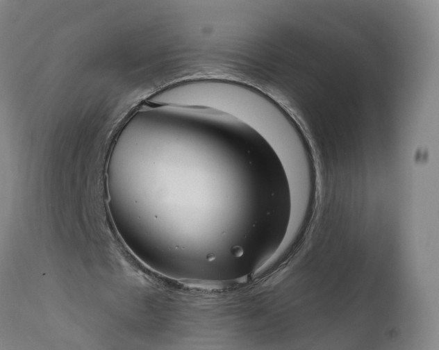 X0000111640481200907311256