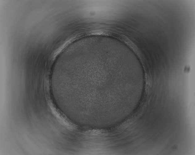 X0000111640482200907311256