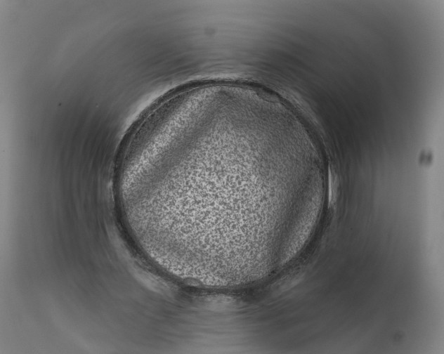 X0000111640483200907311256