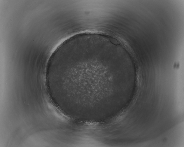 X0000111640484200907311256