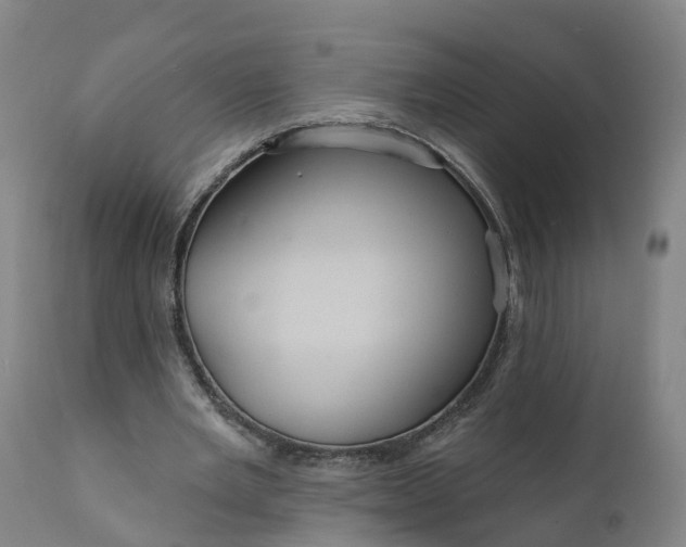 X0000111640485200907311256