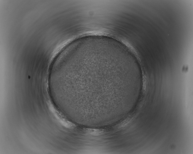 X0000111640486200907311255