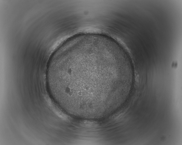 X0000111640487200907311255