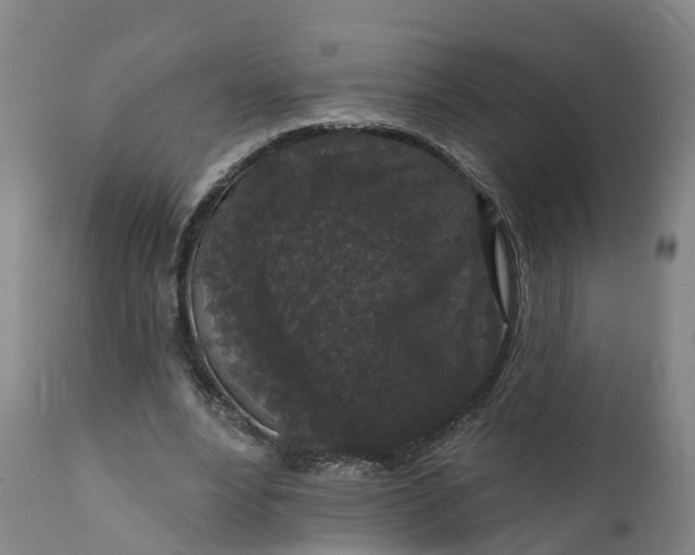 X0000111640488200907311255