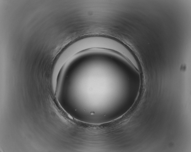 X0000111640489200907311255