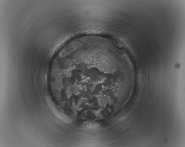 X0000111640491200907311255