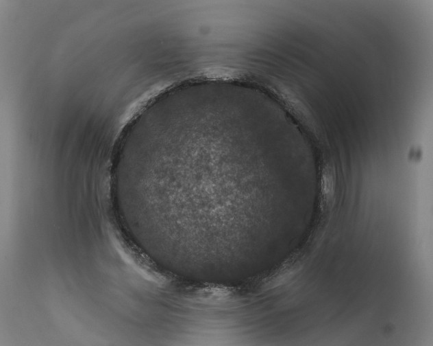 X0000111640492200907311255