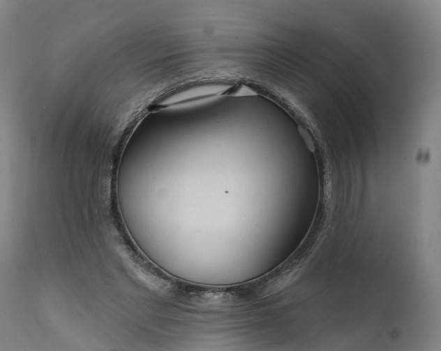 X0000111640493200907311255