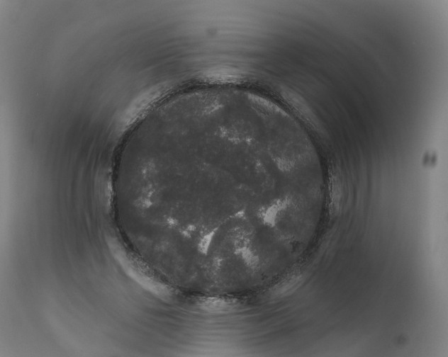 X0000111640494200907311255