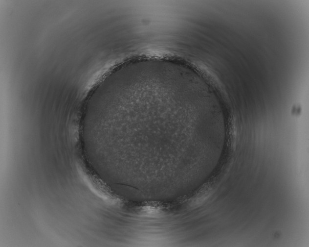 X0000111640496200907311255